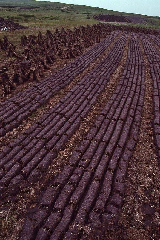 WT 2900 344-36 Ireland.jpg